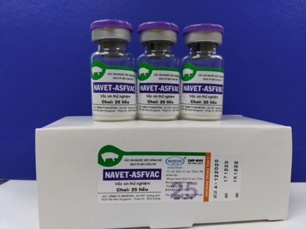 Two more African swine fever vaccines to be licensed in Vietnam by year-end